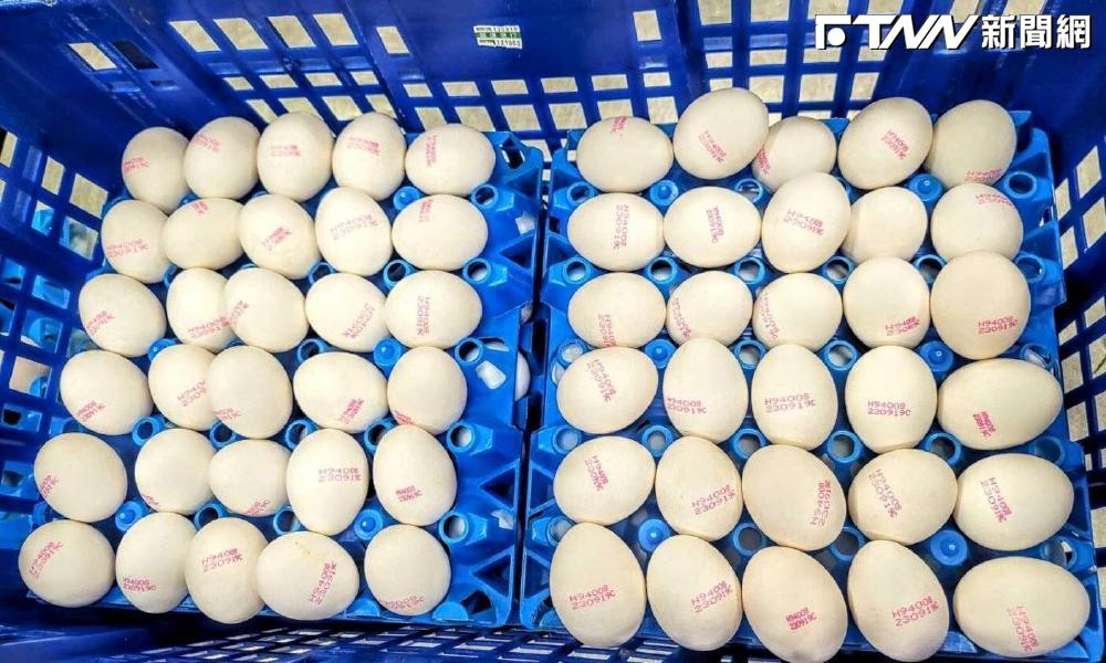 進口雞蛋成本僅18竟給32元?農業部「出聲」理由一次看