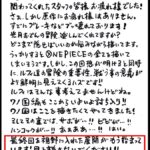JUMP庆典2.6米高巨大路飞雕像亮相！尾田亲自感言OP最终序幕开启